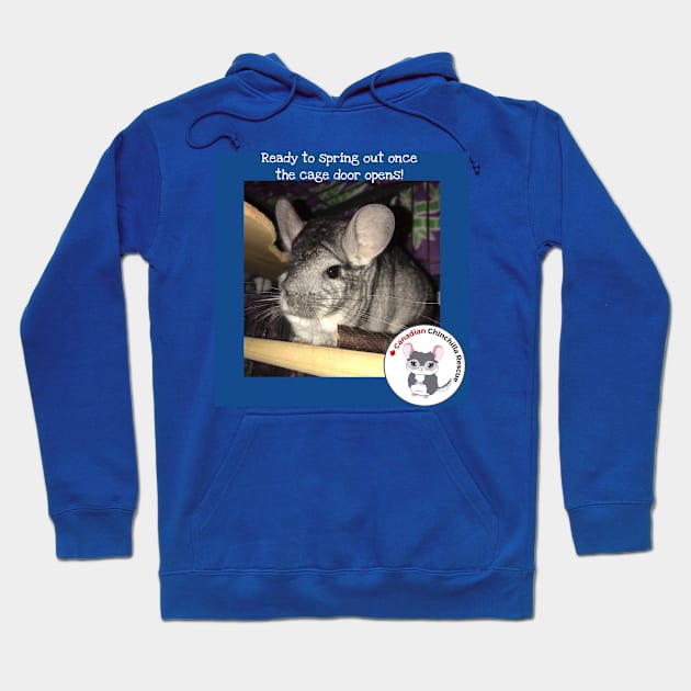 Chin Facts of Life Hoodie by canchinrescue